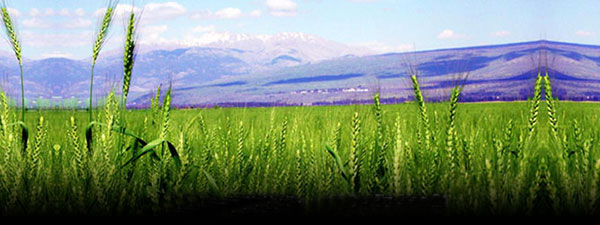 廢銅回收_廢鐵回收_廢鋁回收_稀有金屬回收_固安縣宇固廢品回收